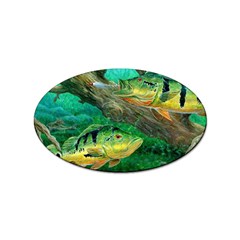 Peacock Bass Fishing Sticker Oval (100 Pack) by Sarkoni