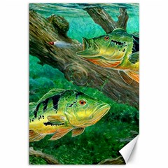 Peacock Bass Fishing Canvas 12  X 18  by Sarkoni