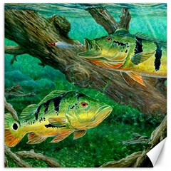 Peacock Bass Fishing Canvas 20  X 20  by Sarkoni