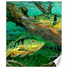 Peacock Bass Fishing Canvas 20  X 24 