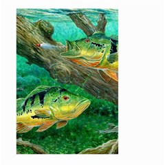 Peacock Bass Fishing Large Garden Flag (two Sides) by Sarkoni