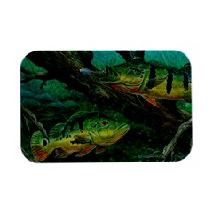 Peacock Bass Fishing Open Lid Metal Box (silver)  