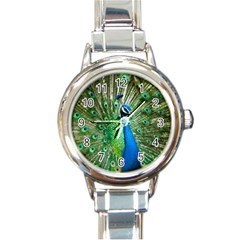 Peafowl Peacock Round Italian Charm Watch by Sarkoni