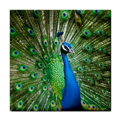 Peafowl Peacock Tile Coaster by Sarkoni