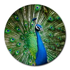 Peafowl Peacock Round Mousepad by Sarkoni