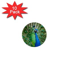 Peafowl Peacock 1  Mini Magnet (10 Pack)  by Sarkoni