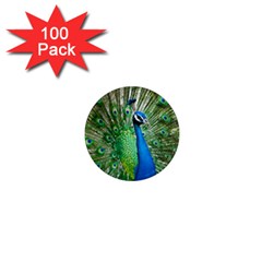 Peafowl Peacock 1  Mini Magnets (100 Pack)  by Sarkoni