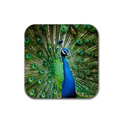 Peafowl Peacock Rubber Coaster (square) by Sarkoni