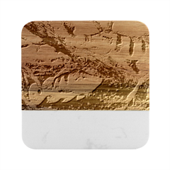 Peacock Bass Fishing Marble Wood Coaster (square) by Sarkoni