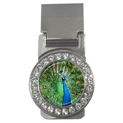 Peafowl Peacock Money Clips (cz)  by Sarkoni