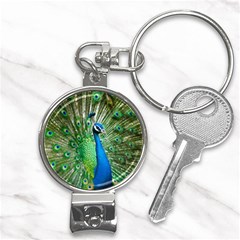 Peafowl Peacock Nail Clippers Key Chain by Sarkoni