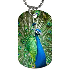 Peafowl Peacock Dog Tag (one Side) by Sarkoni