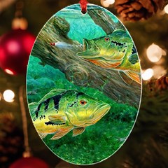 Peacock Bass Fishing Uv Print Acrylic Ornament Oval by Sarkoni