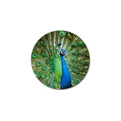 Peafowl Peacock Golf Ball Marker by Sarkoni