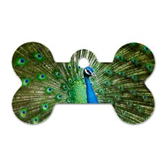 Peafowl Peacock Dog Tag Bone (two Sides) by Sarkoni