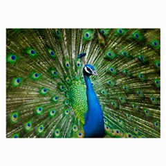 Peafowl Peacock Large Glasses Cloth by Sarkoni