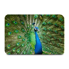 Peafowl Peacock Plate Mats by Sarkoni