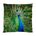 Peafowl Peacock Standard Cushion Case (Two Sides) Front