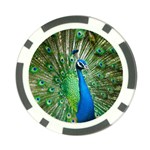 Peafowl Peacock Poker Chip Card Guard (10 pack) Front