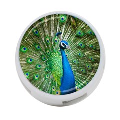 Peafowl Peacock 4-port Usb Hub (two Sides) by Sarkoni