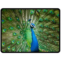 Peafowl Peacock Fleece Blanket (large) by Sarkoni