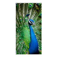 Peafowl Peacock Shower Curtain 36  X 72  (stall)  by Sarkoni