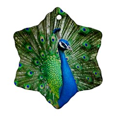 Peafowl Peacock Ornament (snowflake) by Sarkoni