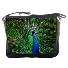 Peafowl Peacock Messenger Bag by Sarkoni