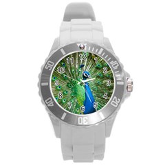 Peafowl Peacock Round Plastic Sport Watch (l) by Sarkoni