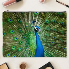 Peafowl Peacock Cosmetic Bag (xxxl) by Sarkoni