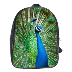 Peafowl Peacock School Bag (xl) by Sarkoni