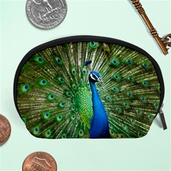 Peafowl Peacock Accessory Pouch (large) by Sarkoni