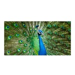 Peafowl Peacock Satin Wrap 35  x 70  Front