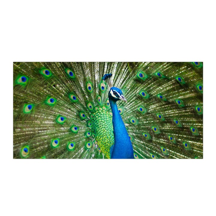 Peafowl Peacock Satin Wrap 35  x 70 