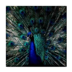 Blue And Green Peacock Tile Coaster by Sarkoni