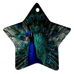 Blue And Green Peacock Ornament (star) by Sarkoni