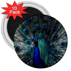 Blue And Green Peacock 3  Magnets (10 Pack) 