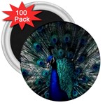 Blue And Green Peacock 3  Magnets (100 pack) Front