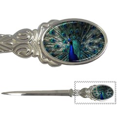 Blue And Green Peacock Letter Opener by Sarkoni