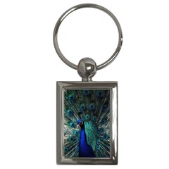 Blue And Green Peacock Key Chain (rectangle) by Sarkoni