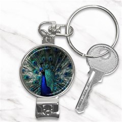 Blue And Green Peacock Nail Clippers Key Chain by Sarkoni