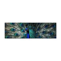 Blue And Green Peacock Sticker Bumper (10 Pack) by Sarkoni