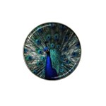 Blue And Green Peacock Hat Clip Ball Marker (4 pack) Front