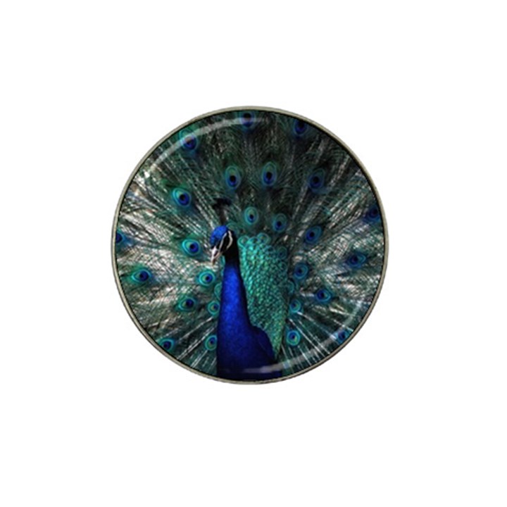 Blue And Green Peacock Hat Clip Ball Marker (4 pack)