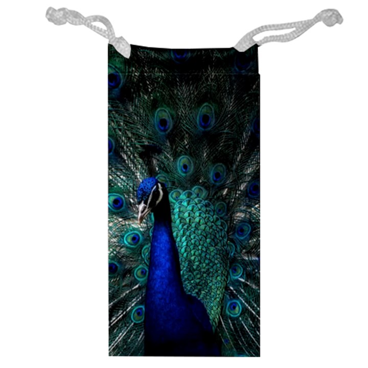 Blue And Green Peacock Jewelry Bag