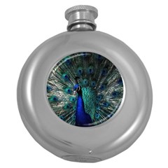 Blue And Green Peacock Round Hip Flask (5 Oz) by Sarkoni