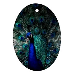 Blue And Green Peacock Oval Ornament (two Sides) by Sarkoni