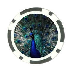 Blue And Green Peacock Poker Chip Card Guard