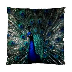 Blue And Green Peacock Standard Cushion Case (two Sides) by Sarkoni