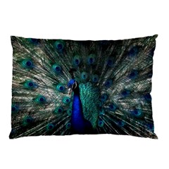 Blue And Green Peacock Pillow Case by Sarkoni